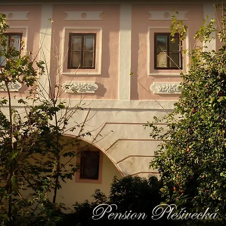 Guest house Plesivecka 119