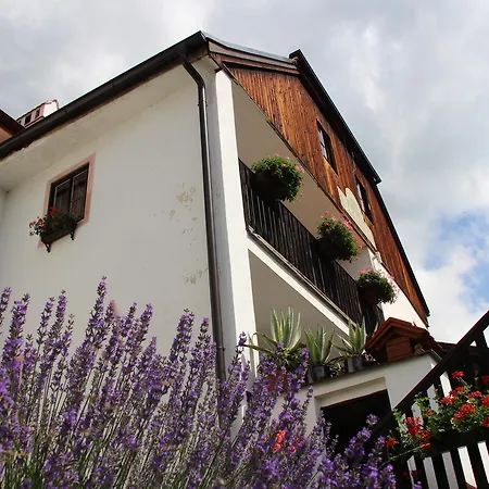 Plesivecka 119 بيت ضيافة Český Krumlov