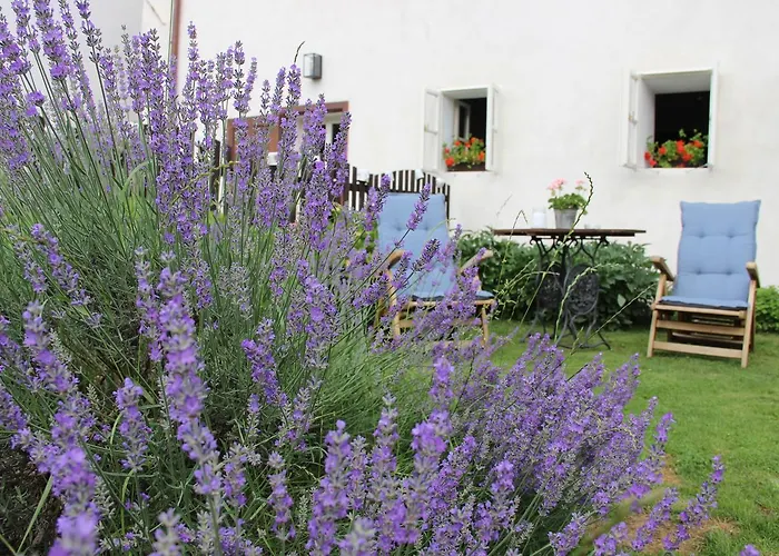 Plešivecká 119 Penzion 3*